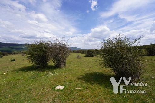 Ref.- 23028 Terreno rústico en venta, Campillo de Ranas