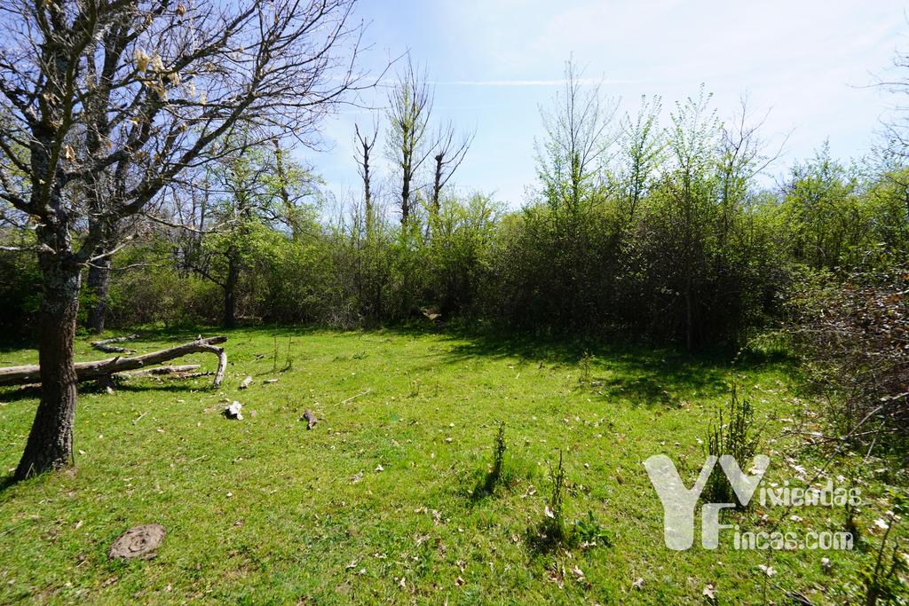 Ref.- 23025 Terreno rústico en venta, Campillo de Ranas
