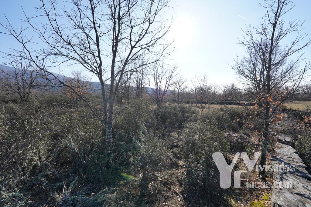 Ref.- 23002 Terreno rústico en venta, Campillo de Ranas