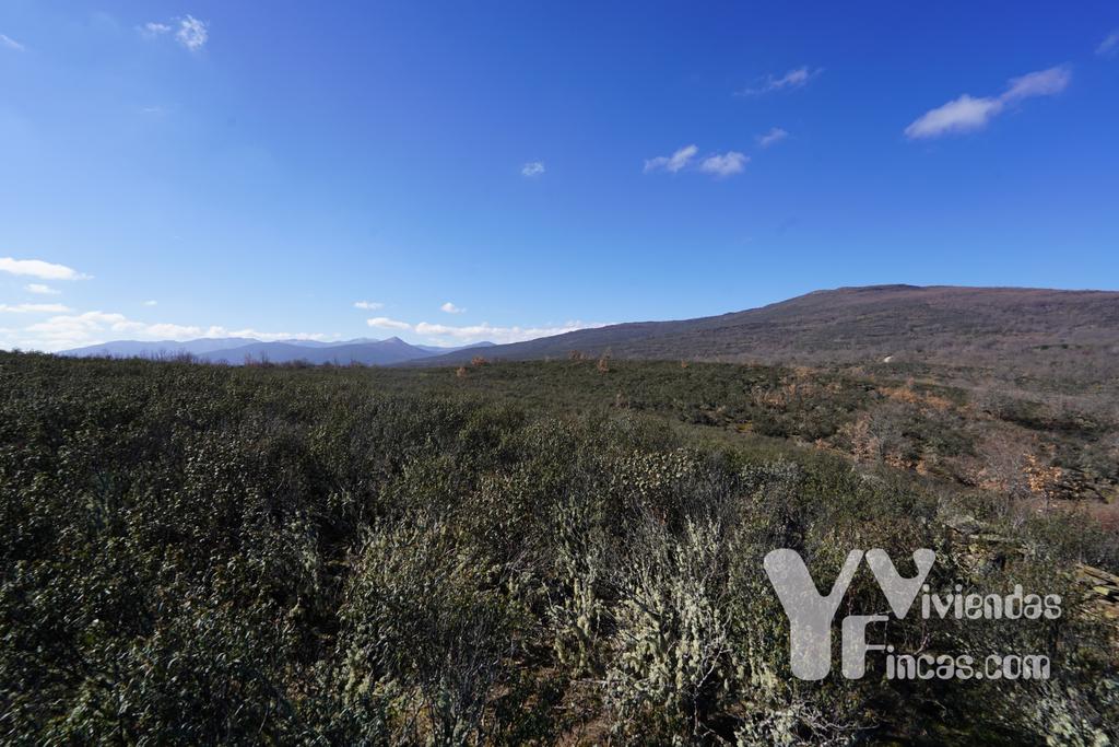 Ref.- 23001 Terreno rústico en venta, Campillo de Ranas