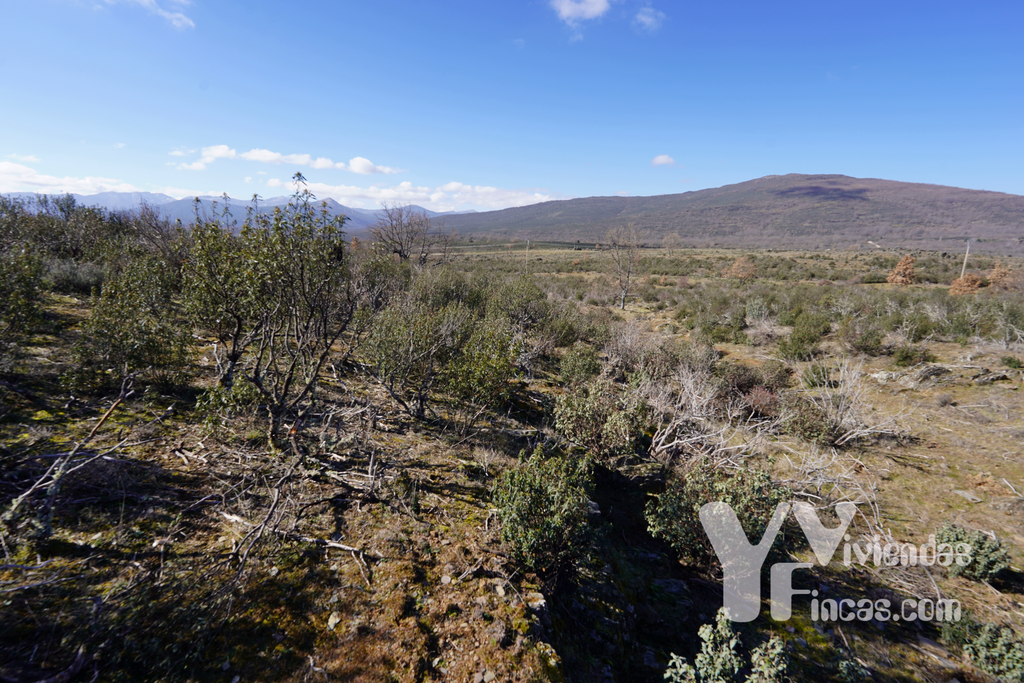 Ref.- 23001 Terreno rústico en venta, Campillo de Ranas