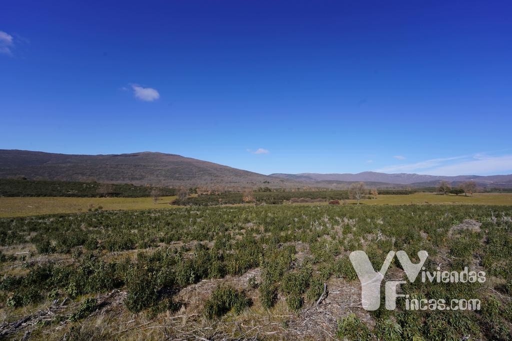 Ref.- 23001 Terreno rústico en venta, Campillo de Ranas