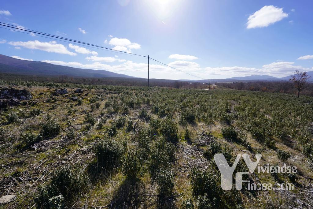 Ref.- 23001 Terreno rústico en venta, Campillo de Ranas