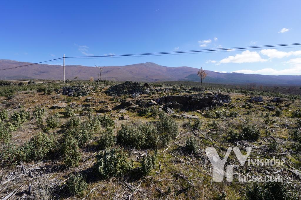 Ref.- 23001 Terreno rústico en venta, Campillo de Ranas