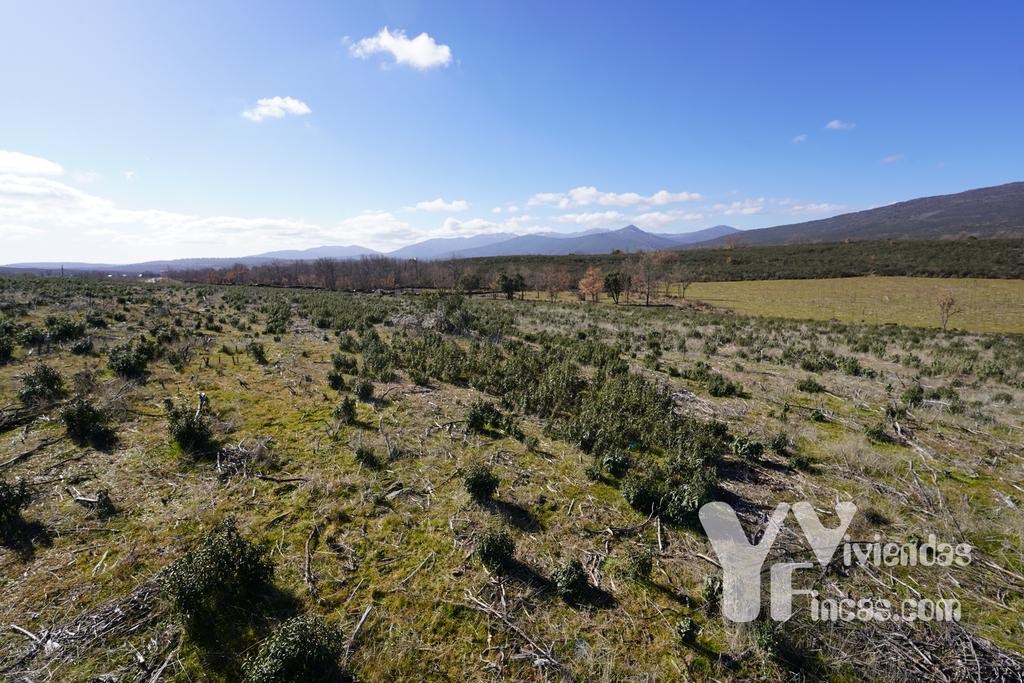 Ref.- 23001 Terreno rústico en venta, Campillo de Ranas