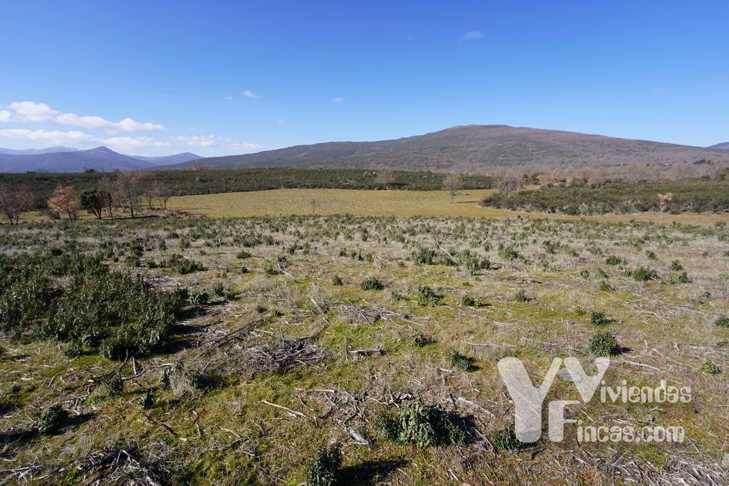 Ref.- 23001 Terreno rústico en venta, Campillo de Ranas