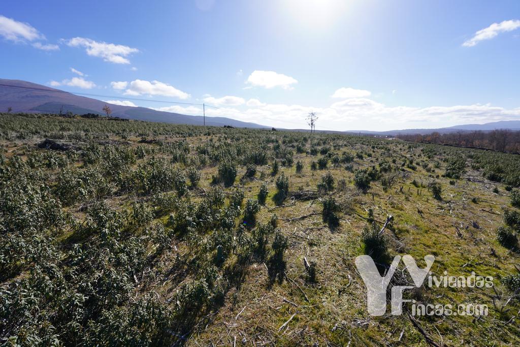 Ref.- 23001 Terreno rústico en venta, Campillo de Ranas