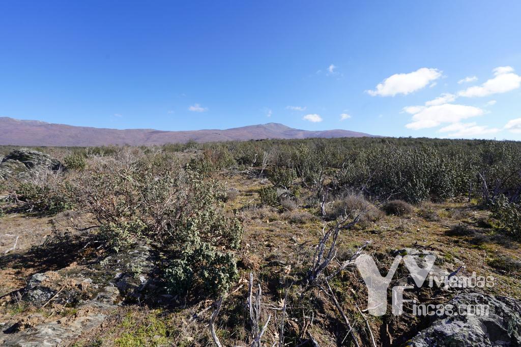 Ref.- 23001 Terreno rústico en venta, Campillo de Ranas