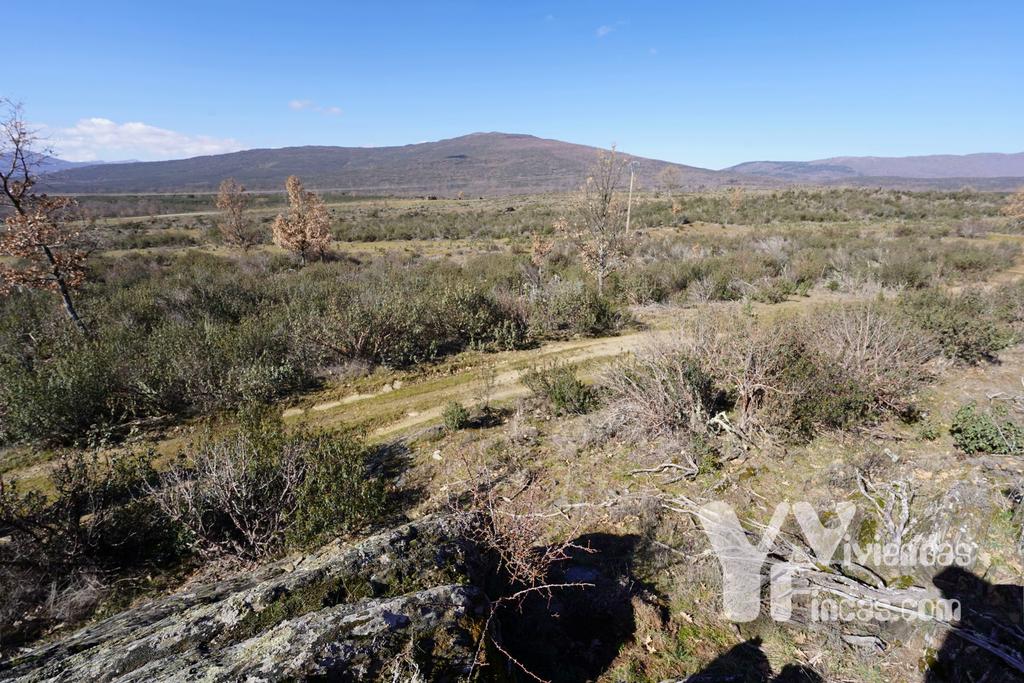 Ref.- 23001 Terreno rústico en venta, Campillo de Ranas