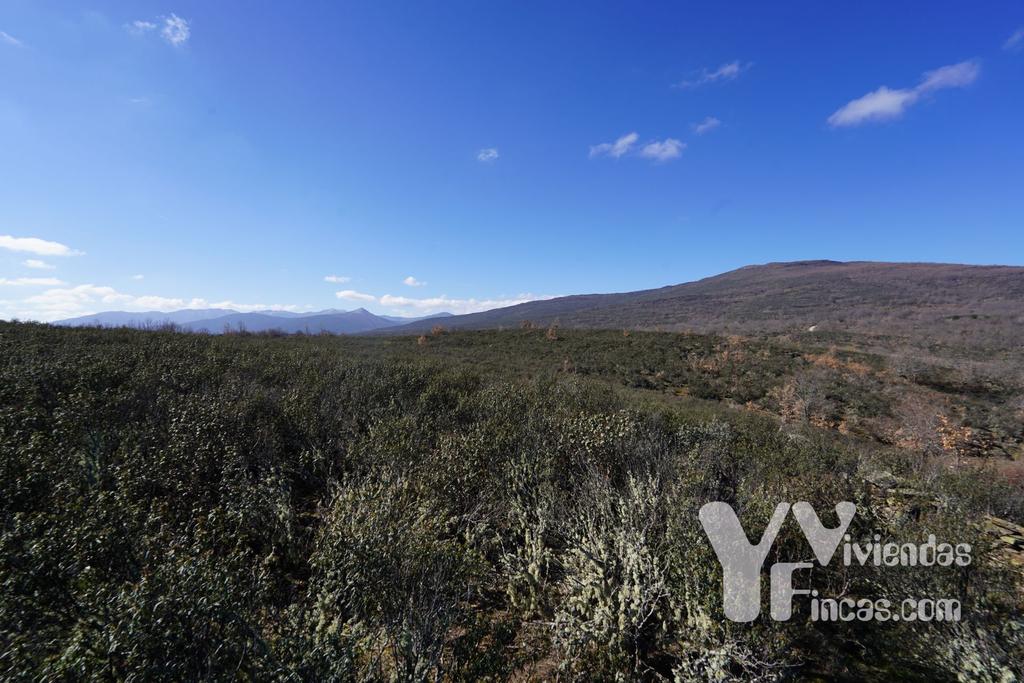 Ref.- 23001 Terreno rústico en venta, Campillo de Ranas