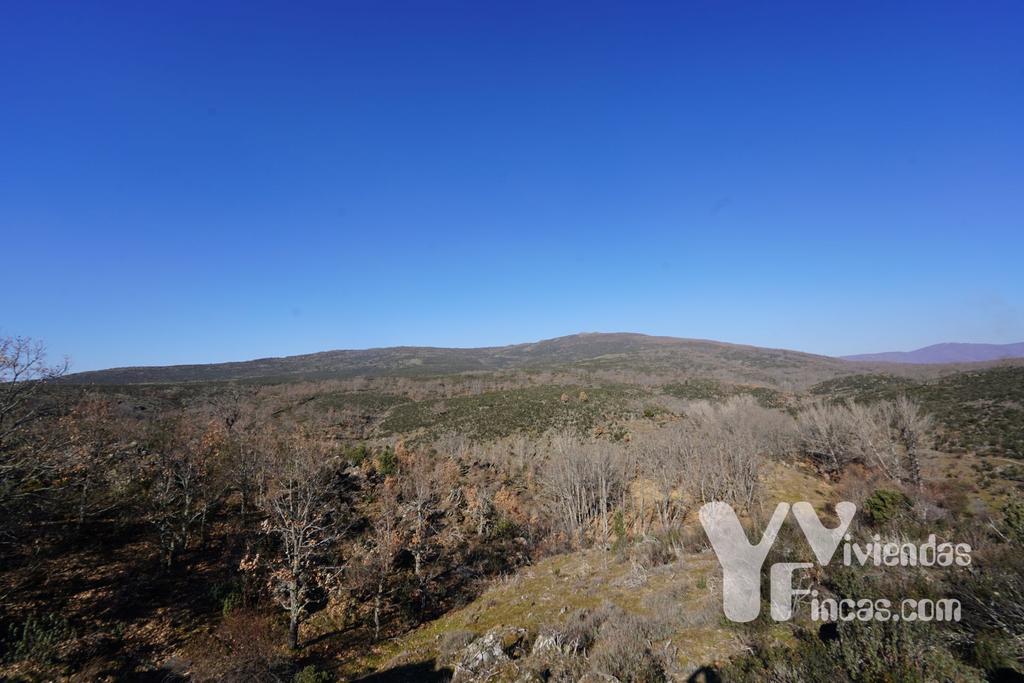 Ref.- 23002 Terreno rústico en venta, Campillo de Ranas