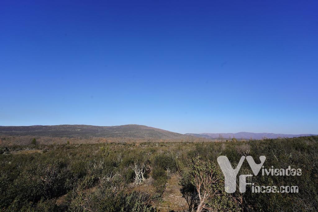 Ref.- 23002 Terreno rústico en venta, Campillo de Ranas