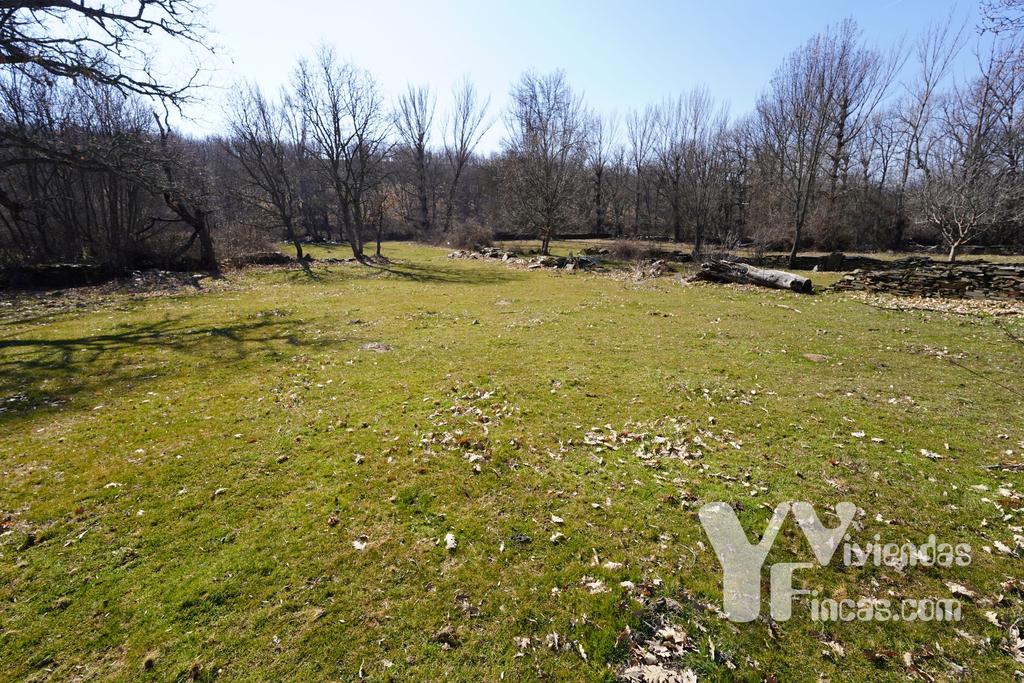 Ref.- 23003 Terreno rústico en venta, Campillo de Ranas