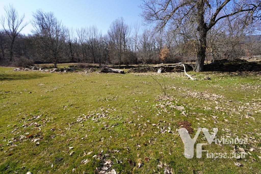 Ref.- 23003 Terreno rústico en venta, Campillo de Ranas