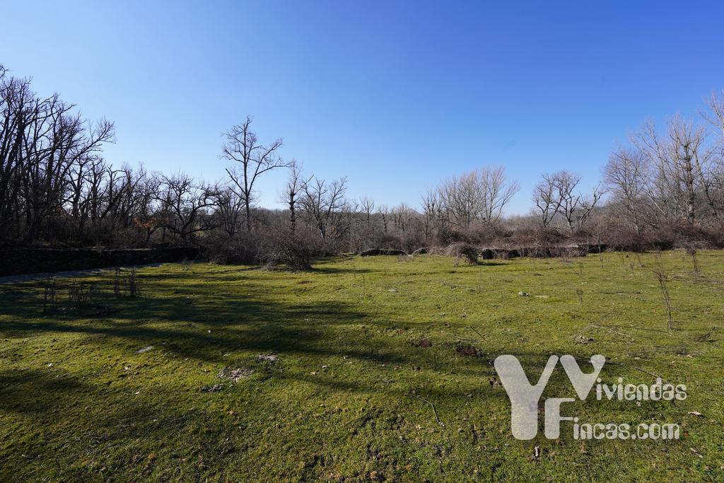 Ref.- 23003 Terreno rústico en venta, Campillo de Ranas