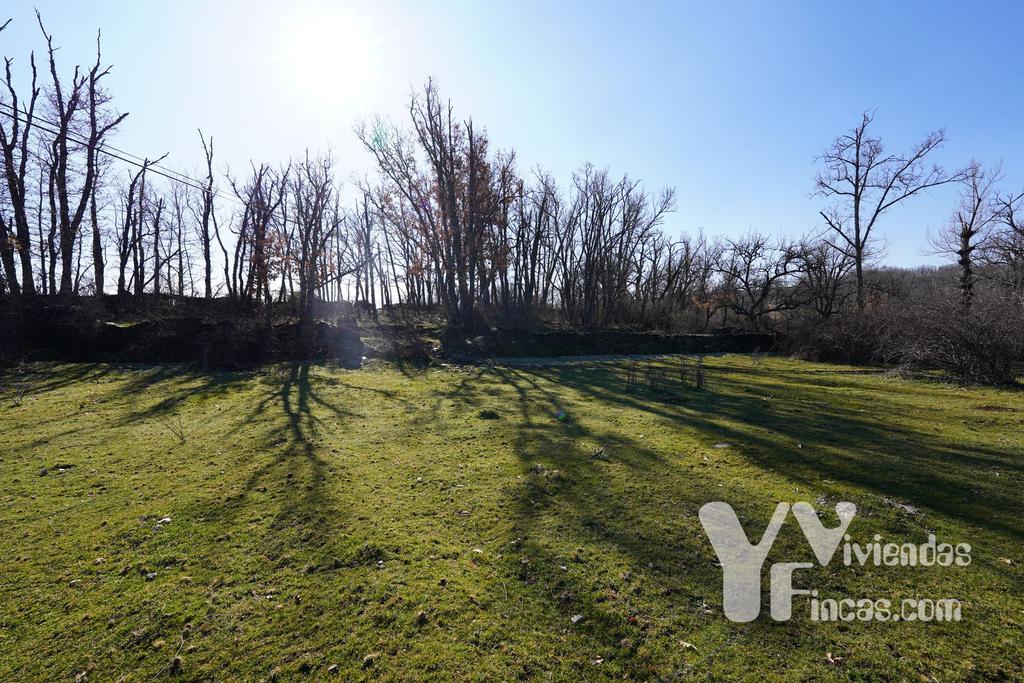 Ref.- 23003 Terreno rústico en venta, Campillo de Ranas
