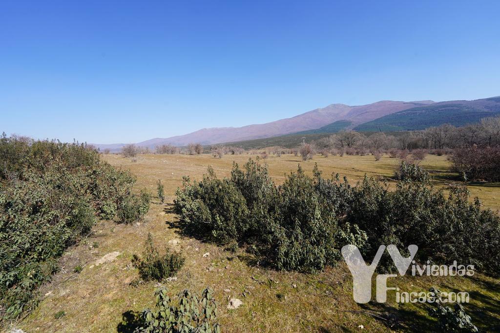 Ref.- 23004 Terreno rústico en venta, Campillo de Ranas