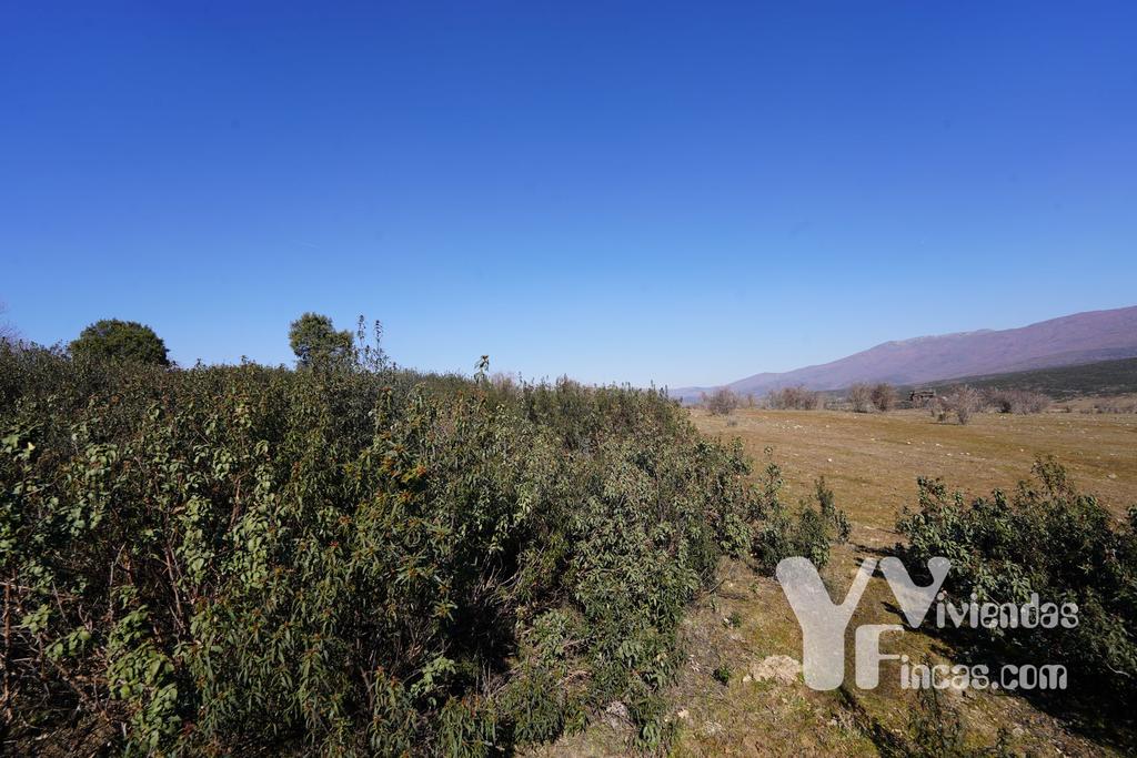 Ref.- 23004 Terreno rústico en venta, Campillo de Ranas