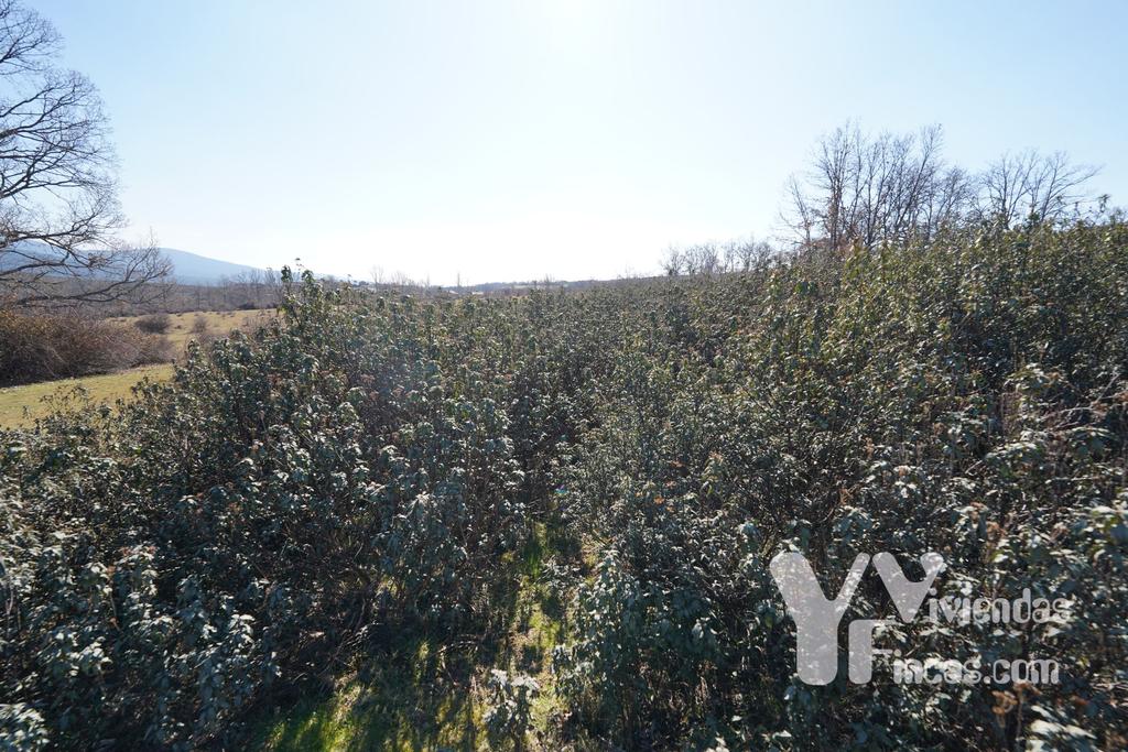 Ref.- 23004 Terreno rústico en venta, Campillo de Ranas