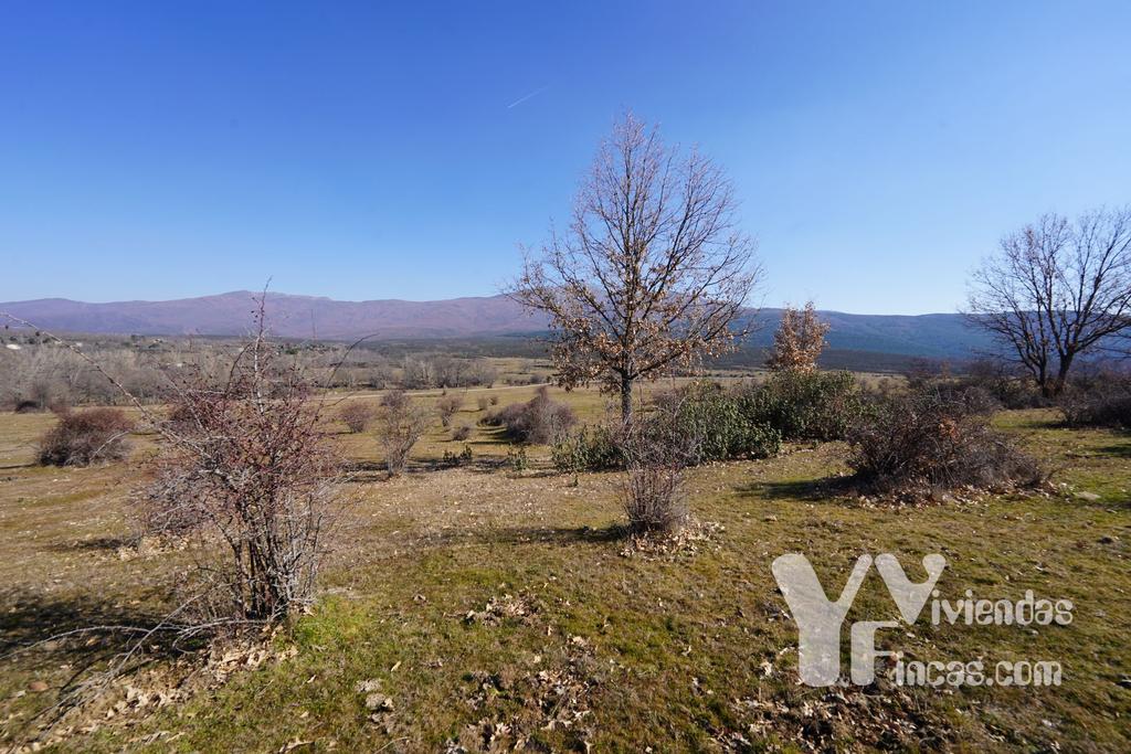 Ref.- 23004 Terreno rústico en venta, Campillo de Ranas