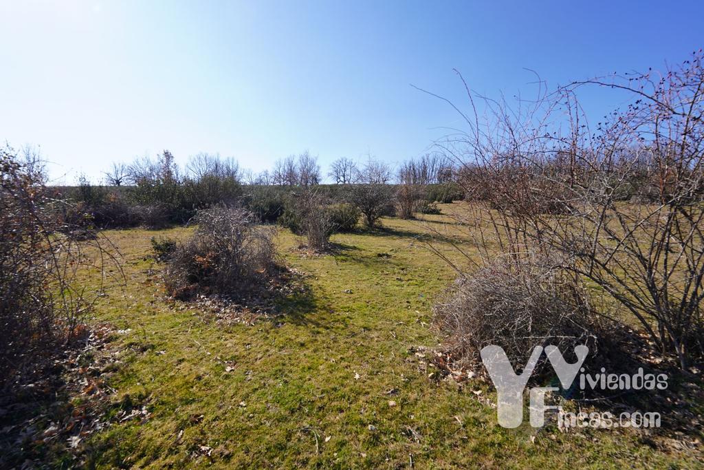 Ref.- 23004 Terreno rústico en venta, Campillo de Ranas