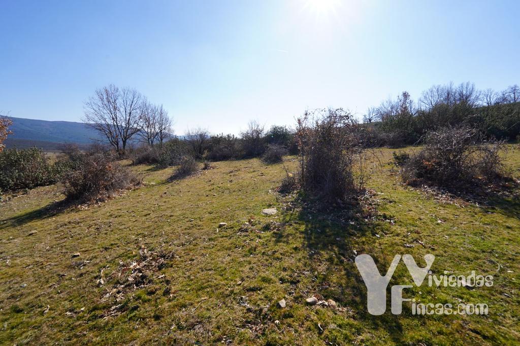 Ref.- 23004 Terreno rústico en venta, Campillo de Ranas