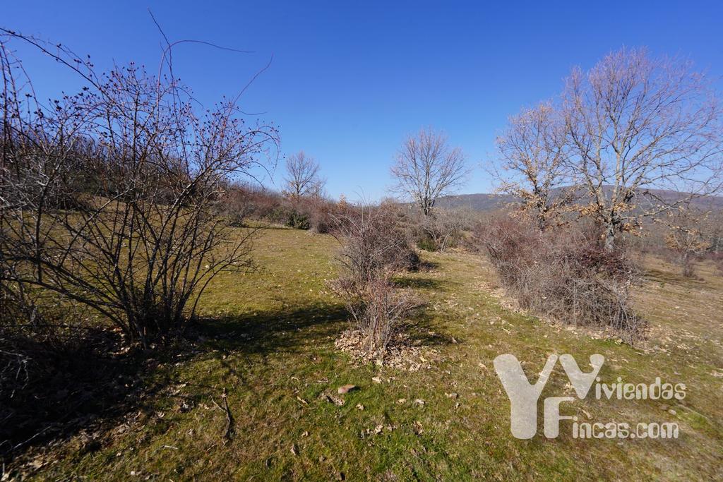 Ref.- 23004 Terreno rústico en venta, Campillo de Ranas