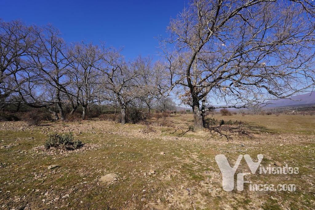 Ref.- 23005 Terreno rústico en venta, Campillo de Ranas