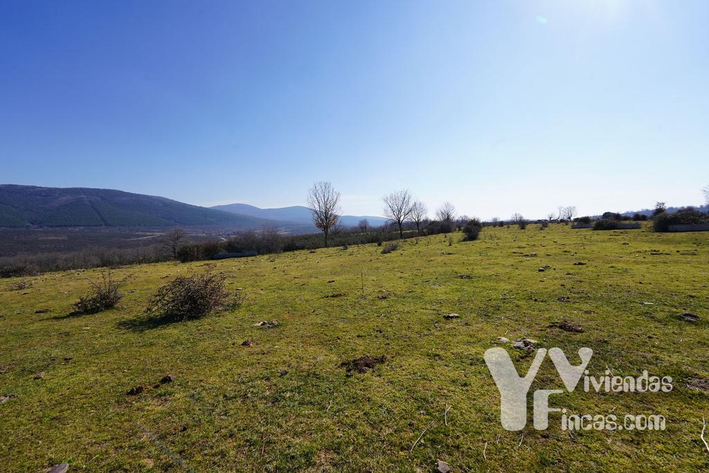 Ref.- 23005 Terreno rústico en venta, Campillo de Ranas