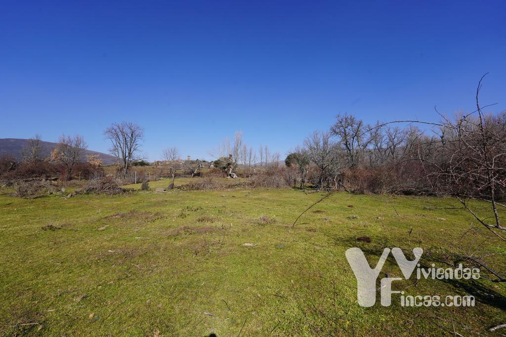 Ref.- 23005 Terreno rústico en venta, Campillo de Ranas