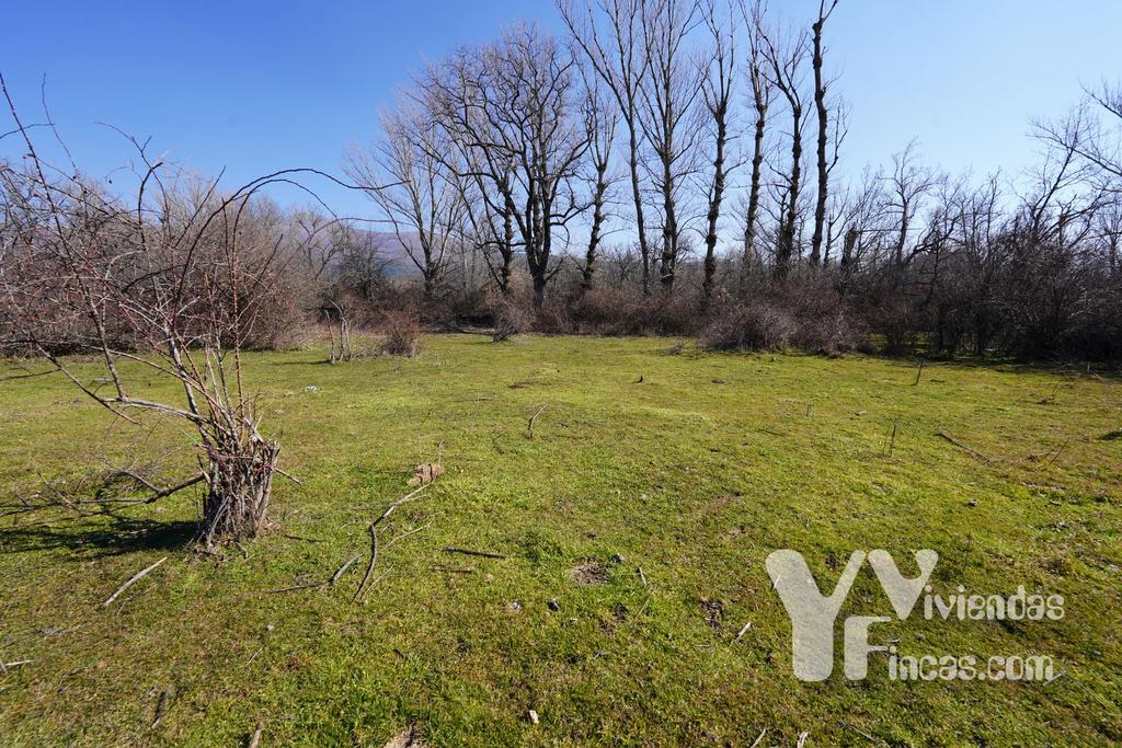 Ref.- 23005 Terreno rústico en venta, Campillo de Ranas