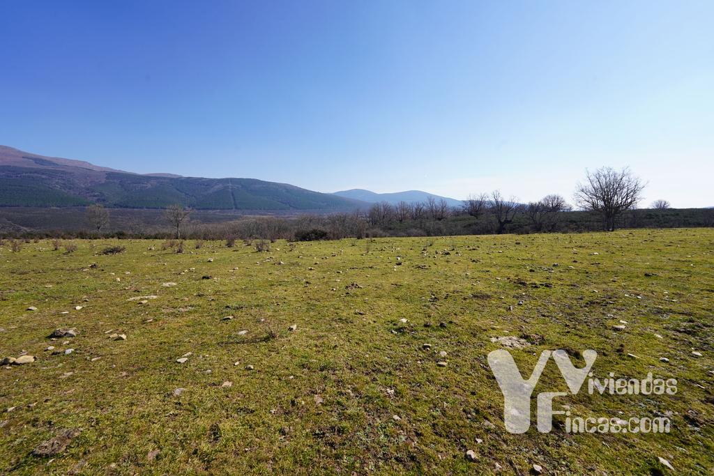 Ref.- 23005 Terreno rústico en venta, Campillo de Ranas