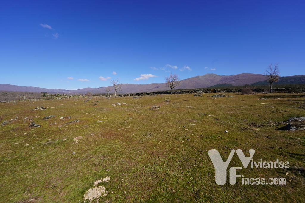 Ref.- 23006 Terreno rústico en venta, Campillo de Ranas