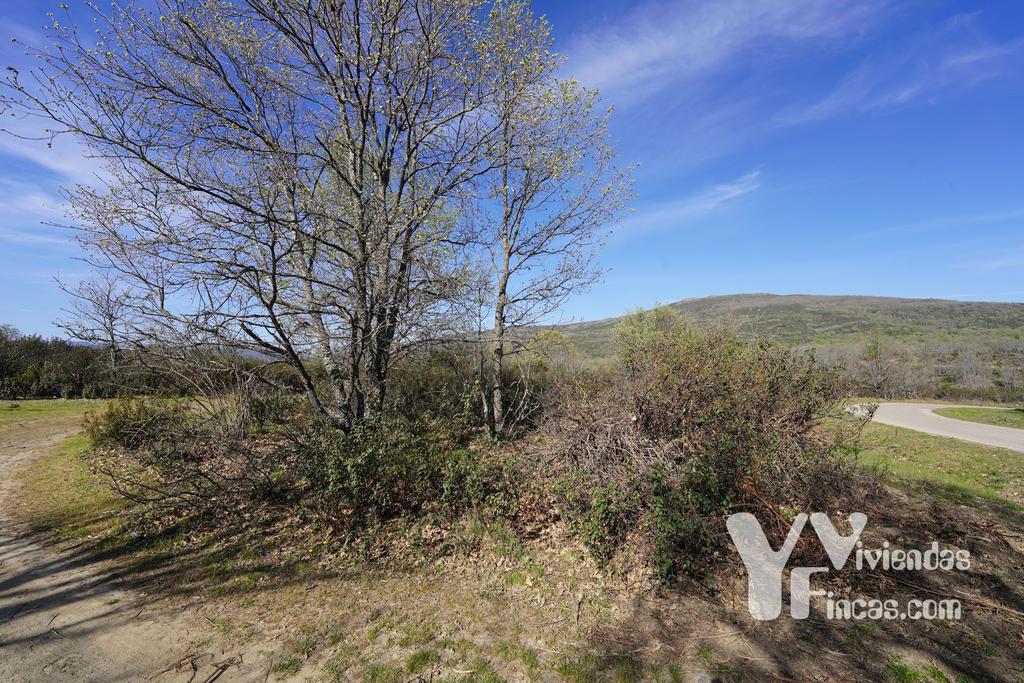 Ref.- 23023 Terreno rústico en venta, Campillo de Ranas