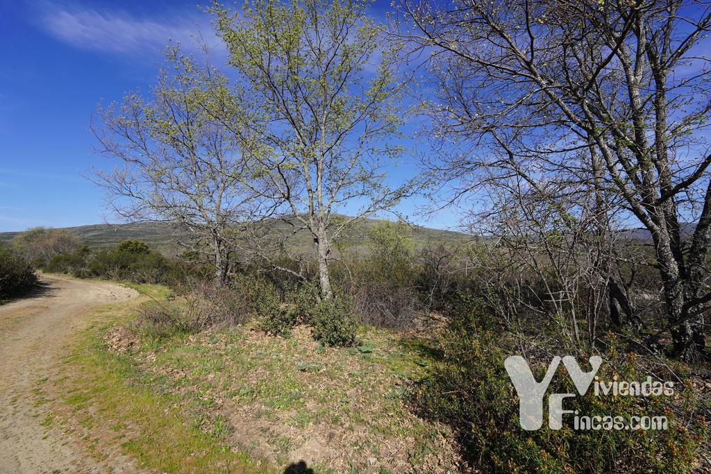 Ref.- 23023 Terreno rústico en venta, Campillo de Ranas