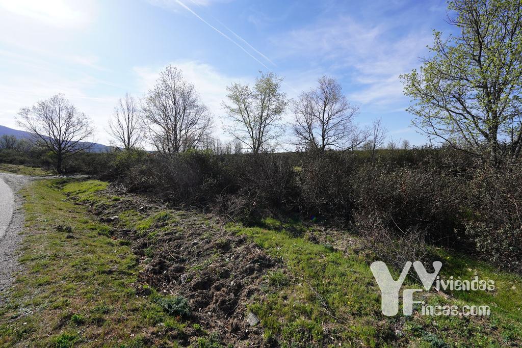 Ref.- 23023 Terreno rústico en venta, Campillo de Ranas
