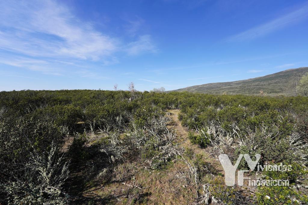 Ref.- 23023 Terreno rústico en venta, Campillo de Ranas