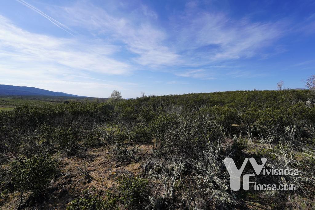 Ref.- 23023 Terreno rústico en venta, Campillo de Ranas