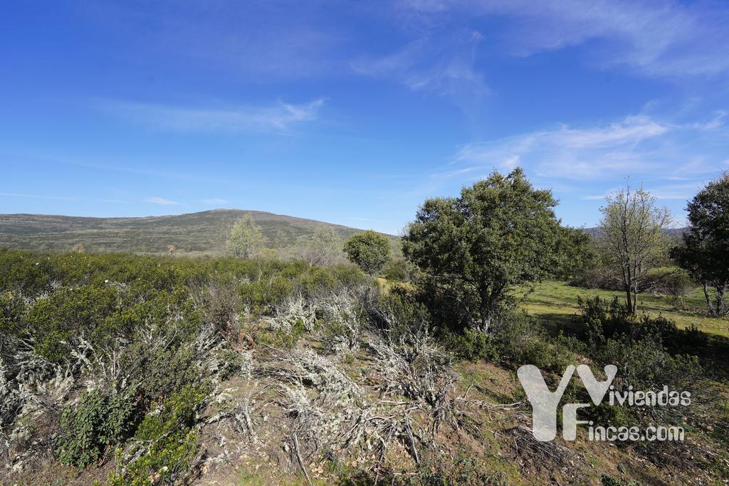 Ref.- 23023 Terreno rústico en venta, Campillo de Ranas