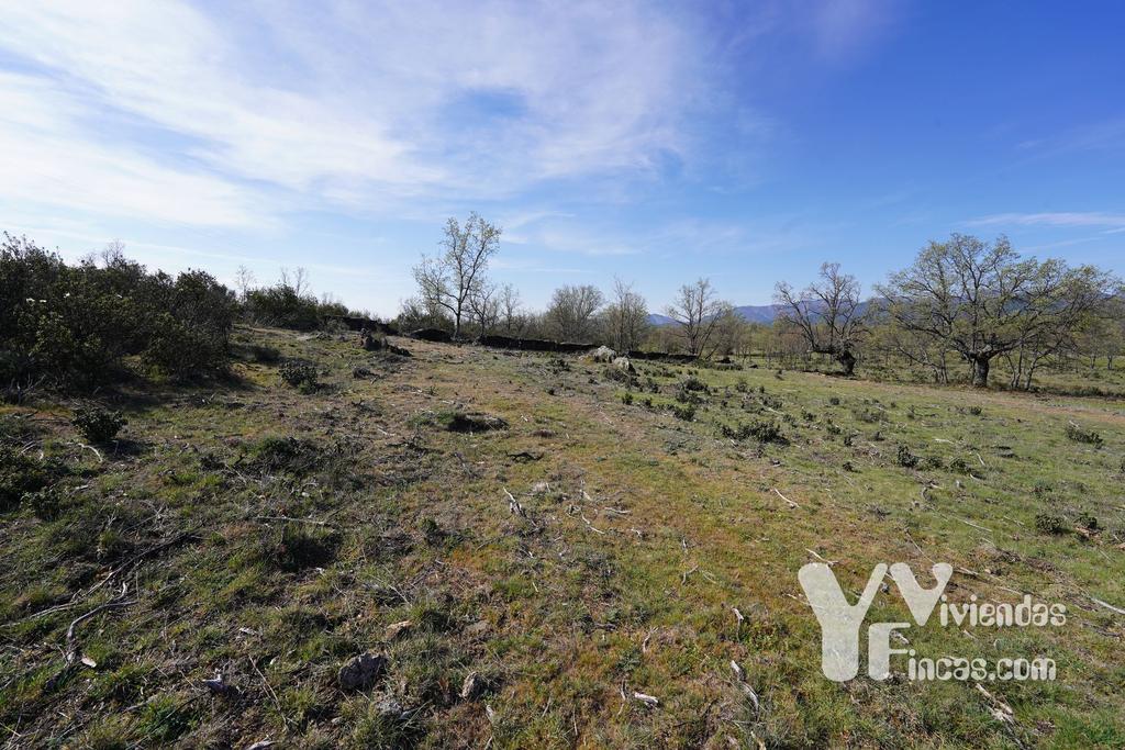 Ref.- 23023 Terreno rústico en venta, Campillo de Ranas
