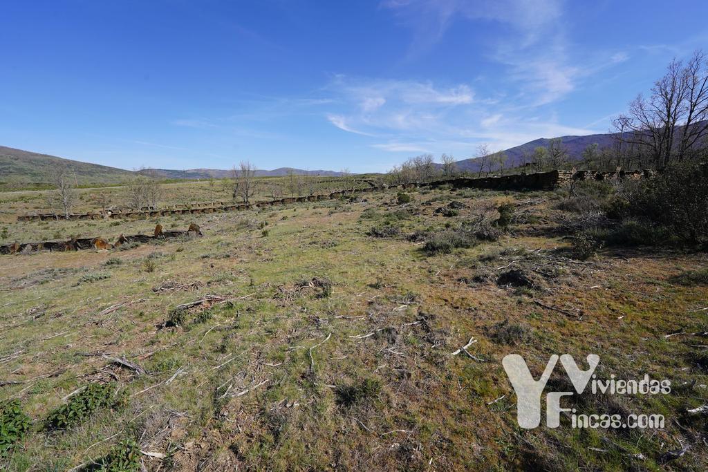 Ref.- 23023 Terreno rústico en venta, Campillo de Ranas