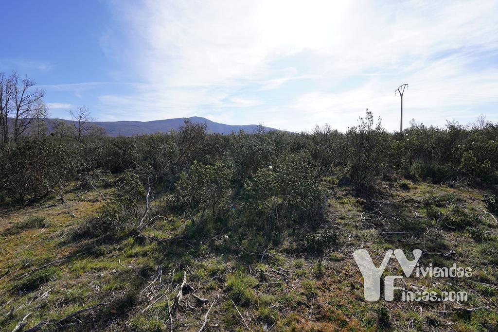 Ref.- 23023 Terreno rústico en venta, Campillo de Ranas