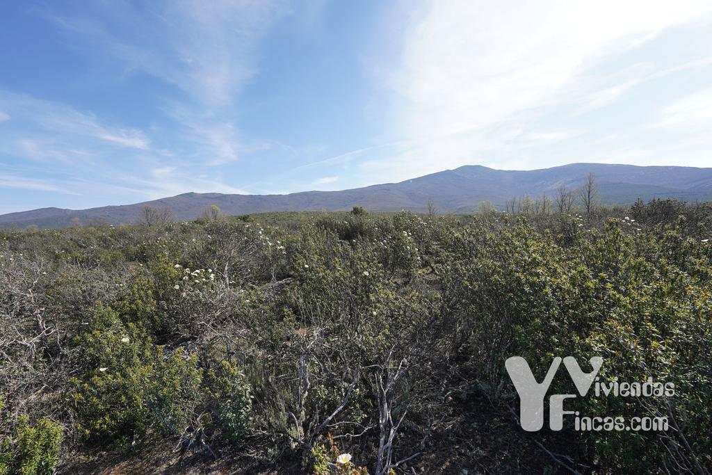 Ref.- 23023 Terreno rústico en venta, Campillo de Ranas