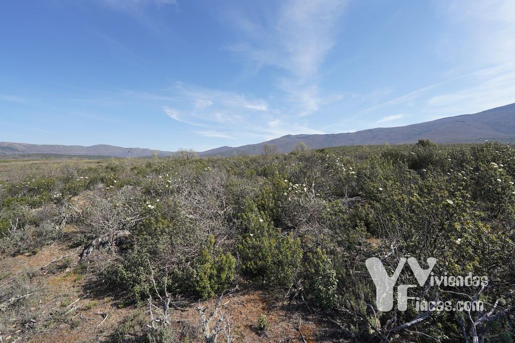 Ref.- 23023 Terreno rústico en venta, Campillo de Ranas