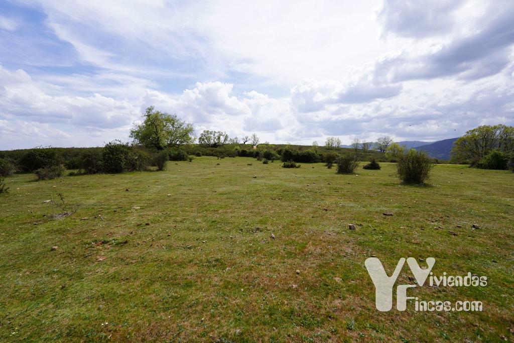 Ref.- 23024 Terreno rústico en venta, Campillo de Ranas