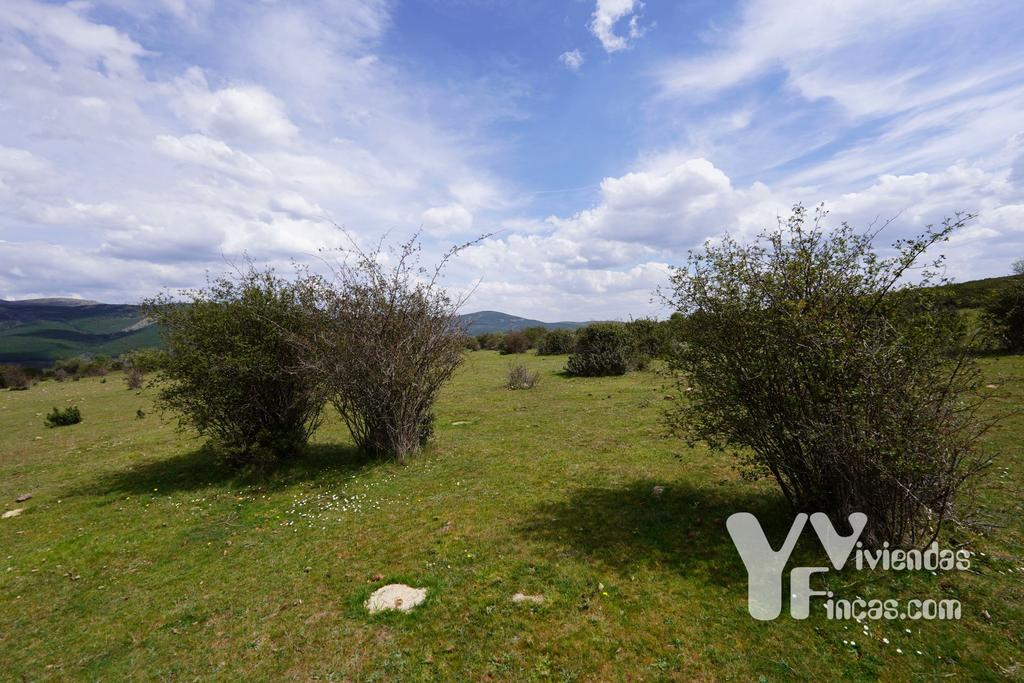 Ref.- 23024 Terreno rústico en venta, Campillo de Ranas