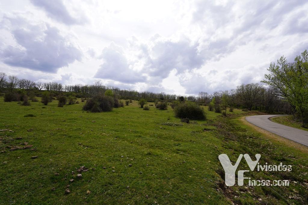 Ref.- 23024 Terreno rústico en venta, Campillo de Ranas