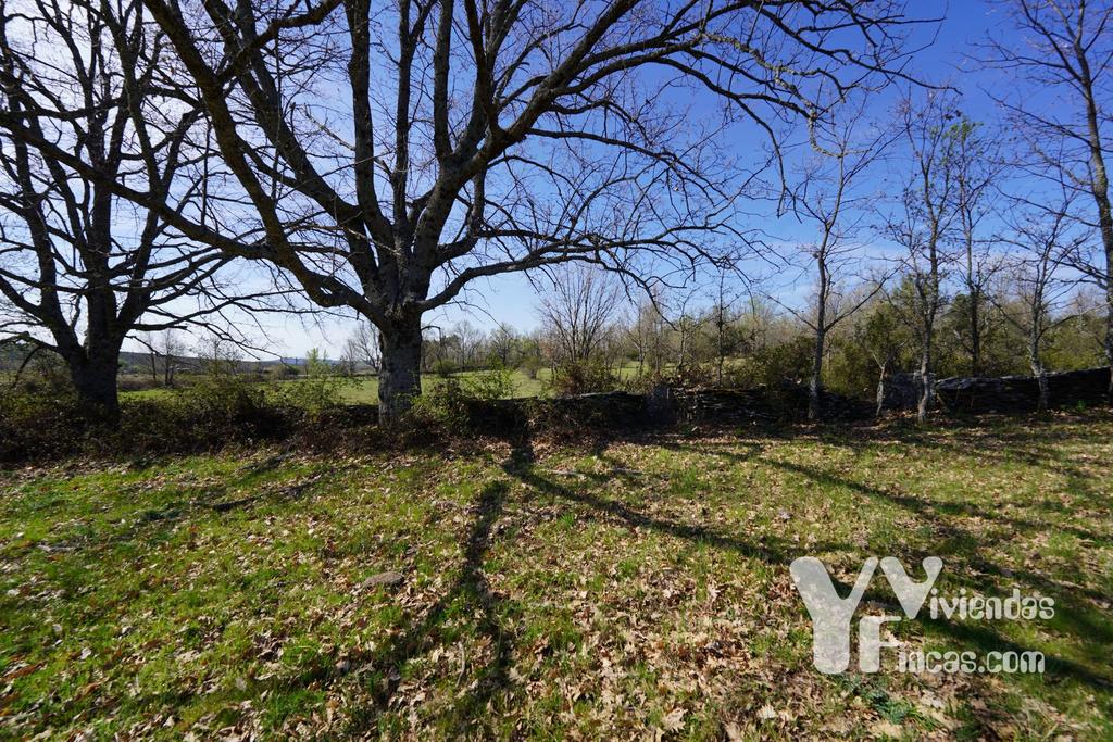 Ref.- 23024 Terreno rústico en venta, Campillo de Ranas