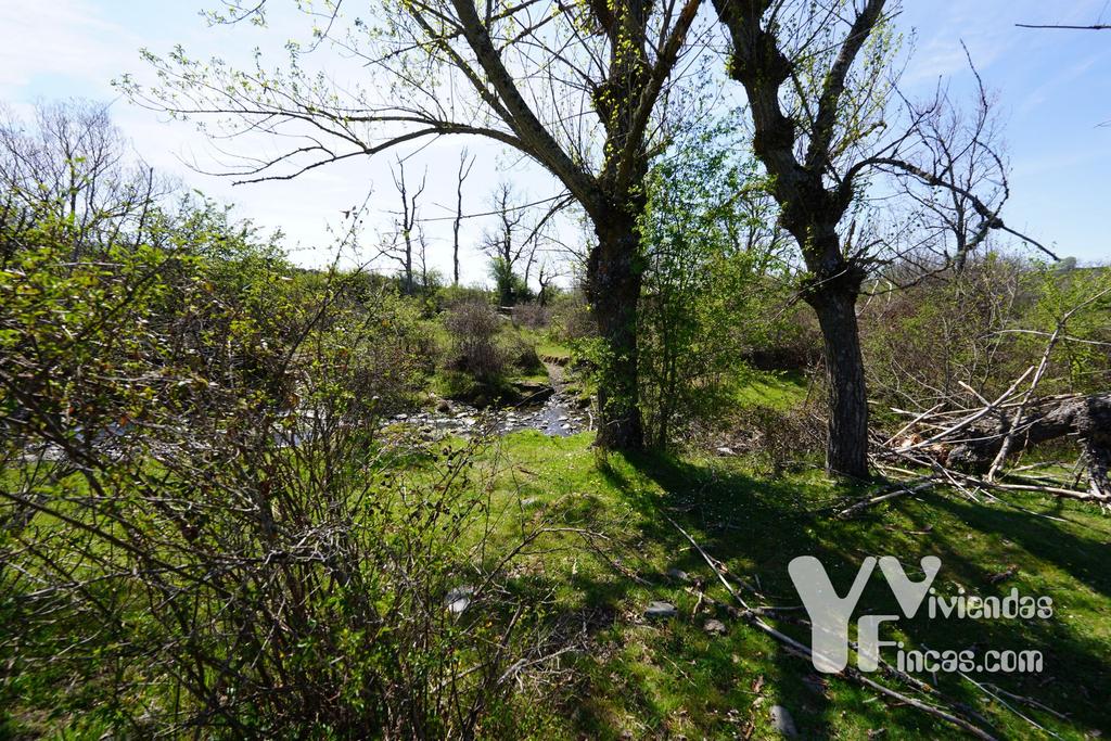 Ref.- 23024 Terreno rústico en venta, Campillo de Ranas