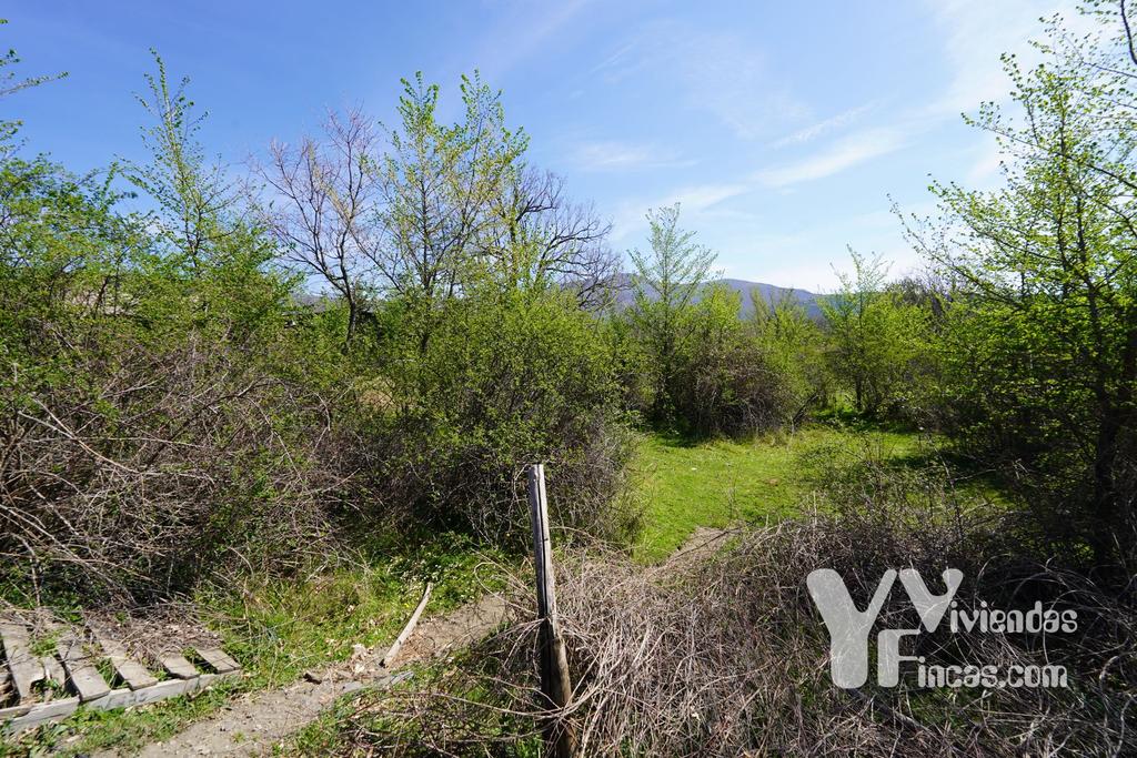 Ref.- 23024 Terreno rústico en venta, Campillo de Ranas